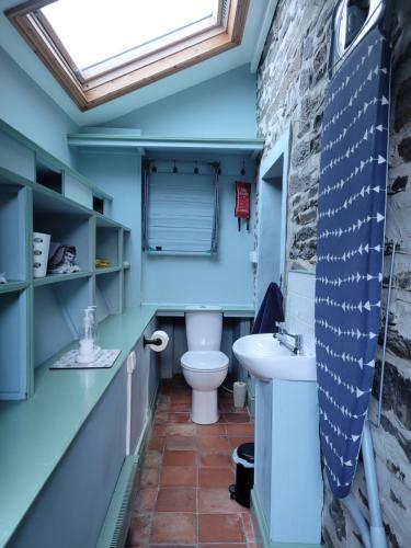 a bathroom with a toilet and a sink and a skylight at Mill Cottage in Llanddeiniol