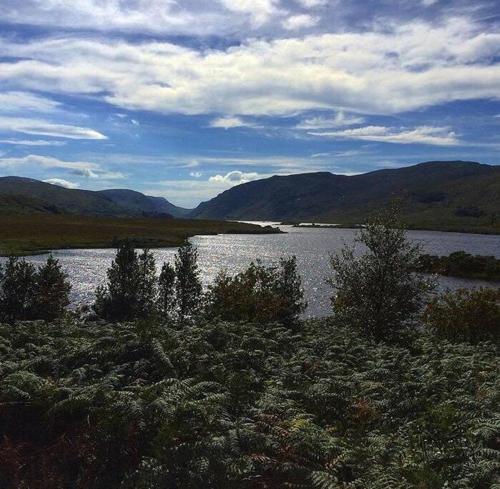 a large lake with trees and mountains in the background at Charlies Lane Apartment in Donegal