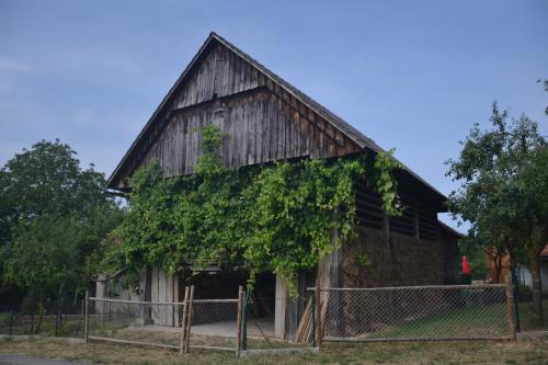 an old barn with ivy growing on it at Ostir Holiday Home in Cerknica