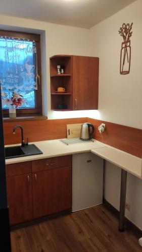 a kitchen with a sink and a counter top at Margus Apartmány in Oščadnica