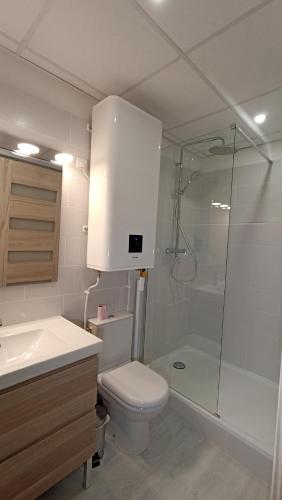 une salle de bain avec toilettes, douche et lavabo dans l'établissement Studio Neuf Climatisé Centre Ville #6, à Toulon