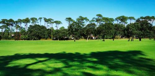 a shadow of a tree on a green field at Great condo between golf course and beach in Moliets-et-Maa