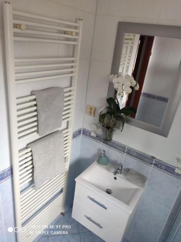 a bathroom with a sink and a mirror at Margus Apartmány in Oščadnica