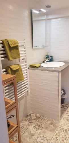 een badkamer met een wastafel en een spiegel bij Chambre d'hôte Kalango proche de la plage-Piscine in Lucciana