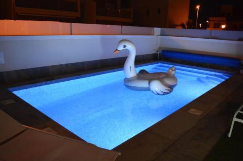a baby duck and a swan in a swimming pool at Palmeras Gold - Moderne villa (6p) met solarium/privézwembad in San Pedro del Pinatar