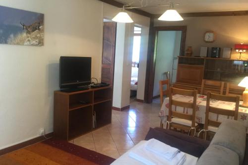 un salon avec un canapé et une télévision dans l'établissement Family House With Balcony Garden Wi Fi, à Chamonix-Mont-Blanc