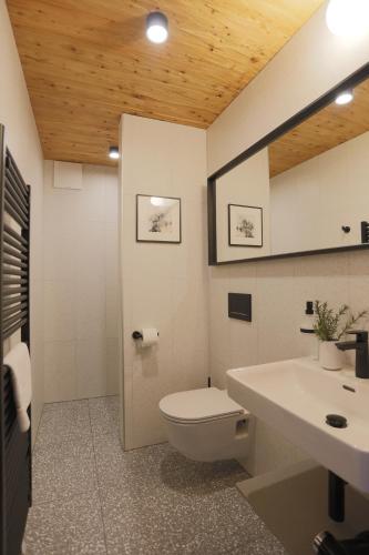 een badkamer met een toilet en een wastafel bij Schneiderhaus in Mauterndorf