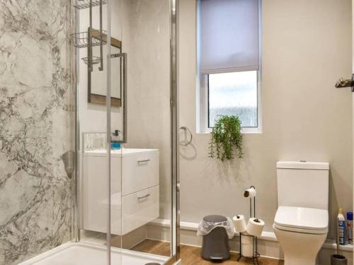 a bathroom with a shower with a toilet and a window at Nicosia House with sea views. in Westward Ho