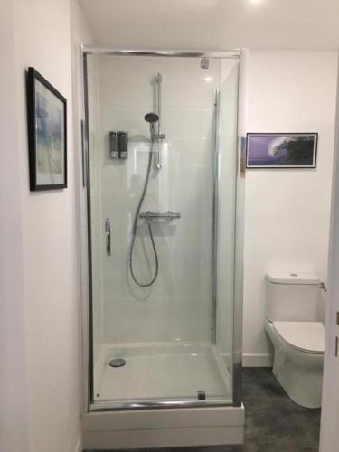 une cabine de douche dans une salle de bain avec toilettes dans l'établissement Le Beach centre la Brèche wifi vue jardin, à Niort