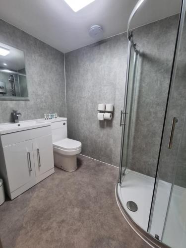ein Bad mit einer Dusche, einem WC und einem Waschbecken in der Unterkunft The Swan Inn in Stranraer