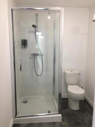 une salle de bain avec douche et toilettes dans l'établissement Le Fuji centre la Brèche wifi calme vue jardin, à Niort