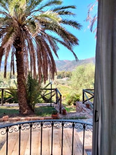 a view of a palm tree from a balcony at Sa Perda Arrubia in Cardedu