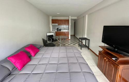 uma sala de estar com uma cama e uma televisão de ecrã plano em Departamento Céntrico Bariloche con patio em San Carlos de Bariloche
