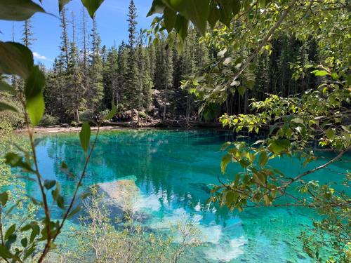 a blue pool of water with trees in the background at Private Hot Tub - Private Front Yard with Mountain View Patio in Canmore