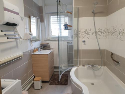 a bathroom with a shower and a tub and a sink at le Home Sweet Home d'Alice!!! à la Villa Alice Roger in Dunkerque