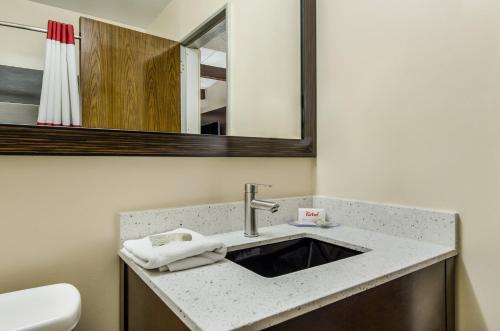 une salle de bain avec un lavabo et un miroir dans l'établissement Red Roof Inn Madison Heights, VA, à Lynchburg