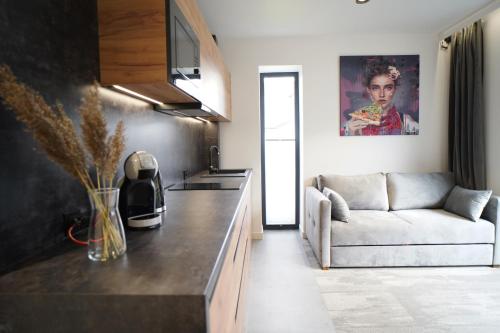 a living room with a couch and a kitchen at Beskidzka9 & Free Sauna in Szczyrk