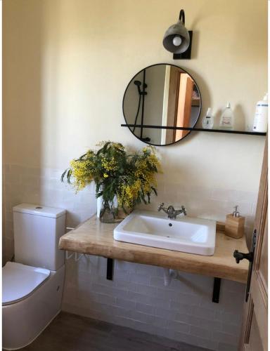 a bathroom with a sink and a mirror and a toilet at Vuelos de Montaña l in Montánchez