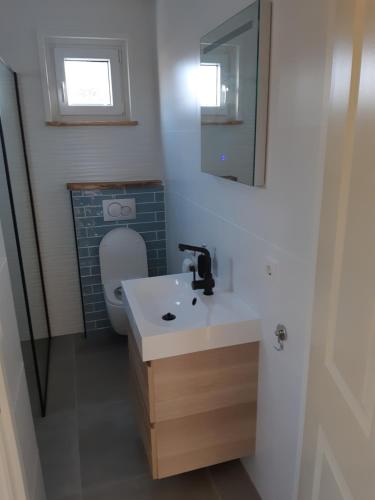 a bathroom with a sink and a toilet at Recreatiewoning Den Hollander in Aagtekerke