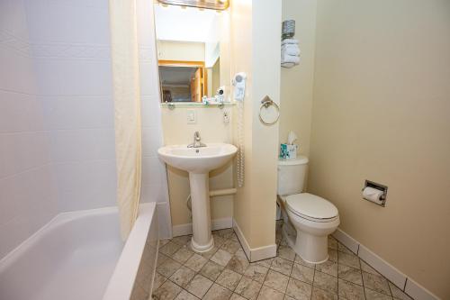 a bathroom with a sink and a toilet at Blue Door Inn in Estes Park