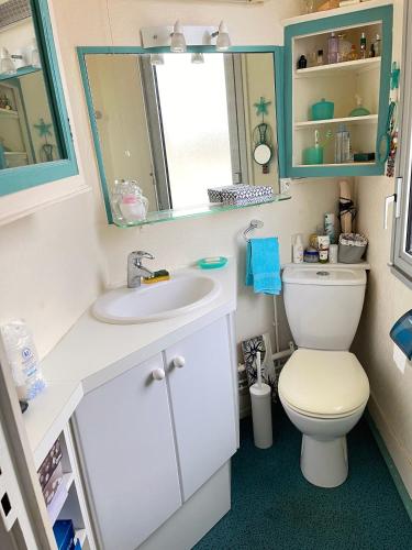 une salle de bain avec toilettes, lavabo et miroir dans l'établissement Villa ROMEO , 250M de la plage, à Saint-Georges-de-Didonne