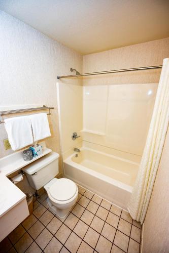a bathroom with a toilet and a bath tub at Blue Door Inn in Estes Park