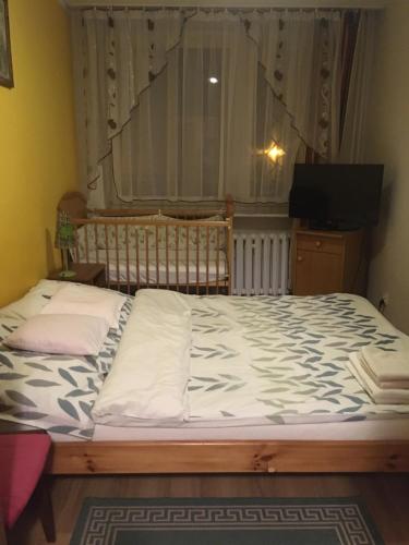 Postel nebo postele na pokoji v ubytování Apartament na Nowickiego