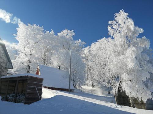 a house covered in snow next to trees at Mountain village in Žabljak