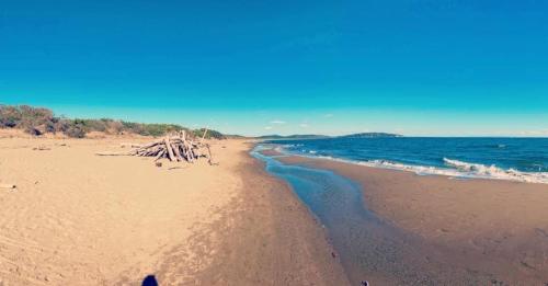 a beach with a bunch of sticks in the sand at Il Belvedere - Cannelle beach Argentario - Tuscany in Monte Argentario