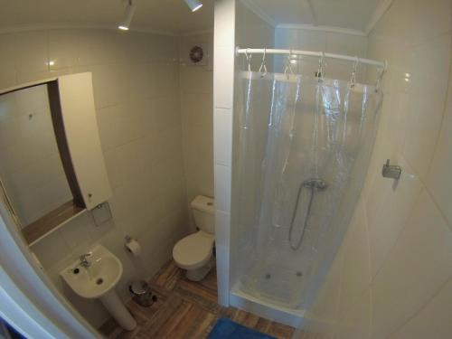 a bathroom with a shower and a toilet and a sink at Álamos de Llancahue in Valdivia