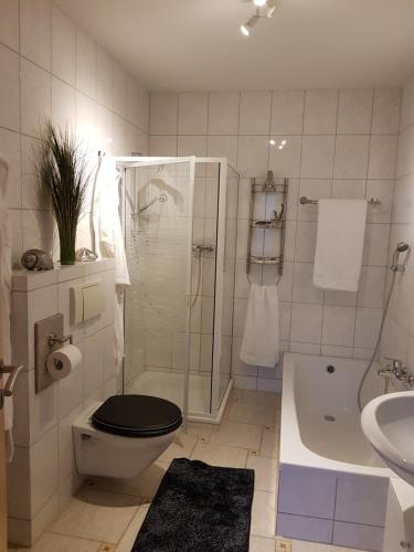 a bathroom with a shower and a toilet and a sink at Lavendel in Bornheim