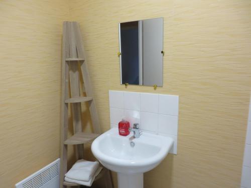 a bathroom with a sink and a mirror and a ladder at appartement 4 à 6 couchages in Clairvaux-les-Lacs