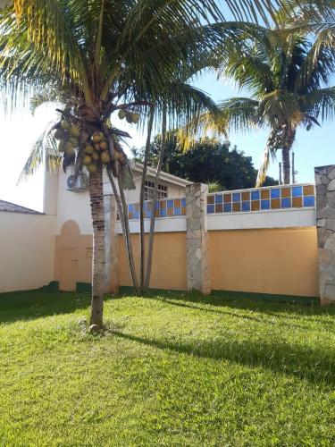 two palm trees in a yard next to a fence at Recanto Serenissima in São Pedro