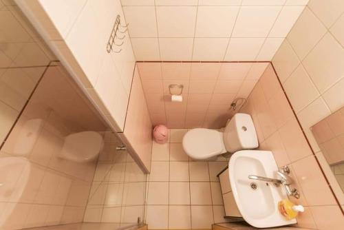 a small bathroom with a toilet and a sink at Pokoje nad Szeszupą Jasionkove DOBRO in Rutka Tartak