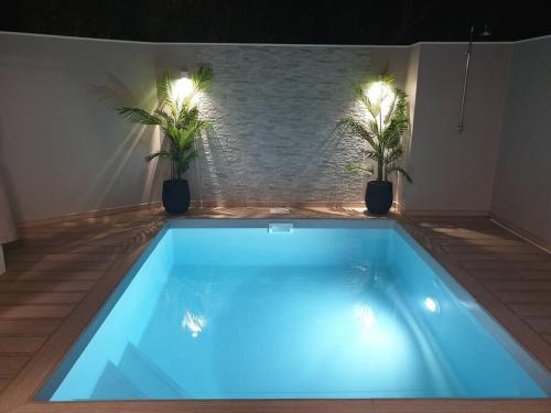 uma piscina azul com duas plantas num quarto em MARS ET VENUS LOCATION - piscine privée et chauffée em Sainte-Marie