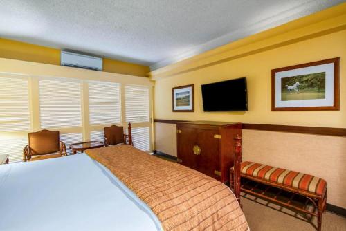 a bedroom with a bed and a flat screen tv at The Equus in Honolulu