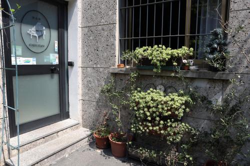 a window with potted plants on the side of a building at Hotel Bicocca in Milan