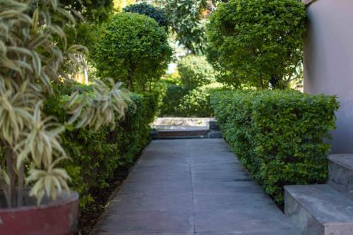 Сад в MVT Guesthouse & Restaurant (Rishikesh)