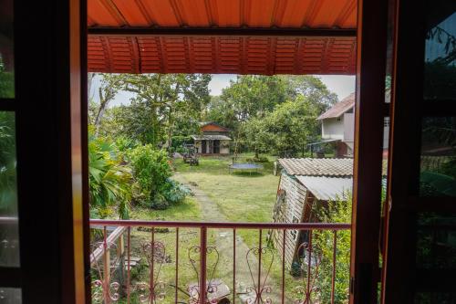 a window view of a yard from a house at darwin's temple 2 in San Cristobal