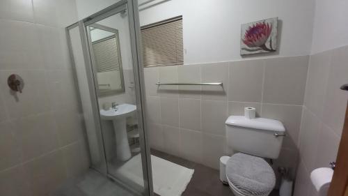 uma casa de banho com um chuveiro, um WC e um lavatório. em De Dane Guestroom em Bloemfontein