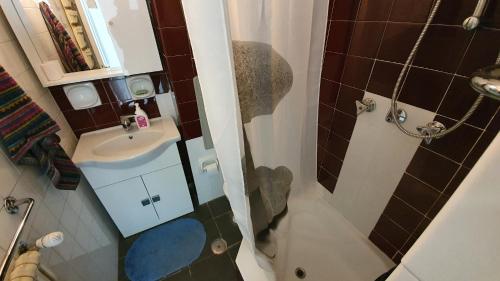 a small bathroom with a sink and a shower at Appartamento condominio Ametista - La Thuile in La Thuile