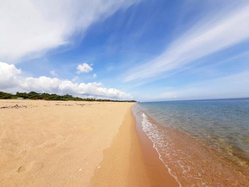 a sandy beach with the ocean on a cloudy day at Tobisviks Camping in Simrishamn