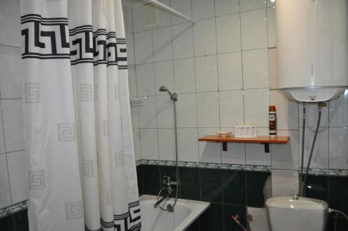 ein Bad mit einem Duschvorhang und einem WC in der Unterkunft Apartment near the bus station in Kremenchuk in Krementschuk