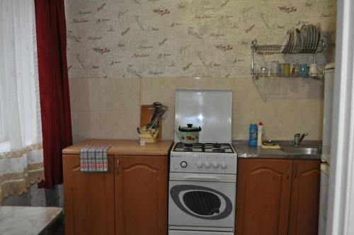Kuchyň nebo kuchyňský kout v ubytování Apartment near the bus station in Kremenchuk