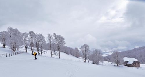 a person is walking down a snow covered slope at Gasthof Hirschenwirt in Schöder