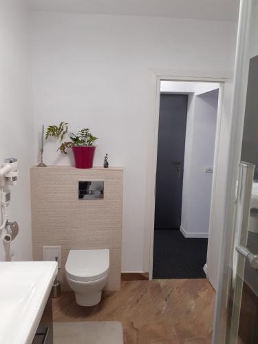 a bathroom with a toilet and a door with a plant at Salcia in Tăşnad