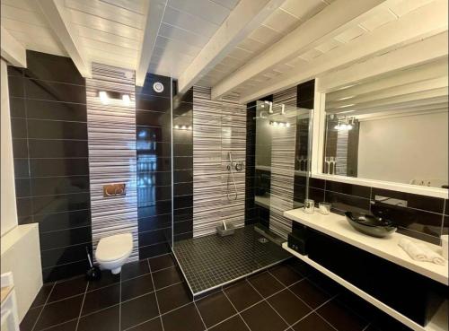 a bathroom with a toilet and a sink and a mirror at Chez La Nanie in Saint-Paul-en-Chablais