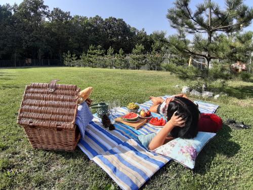 a girl laying on a picnic blanket on the grass at Garden Pypa in Vânătorii Mici
