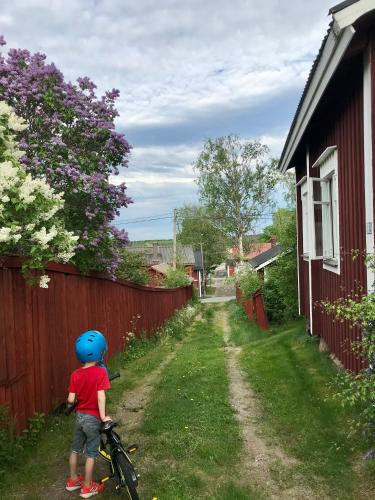 a young boy with a blue helmet standing on a bike at Citymökki in Kristiinankaupunki