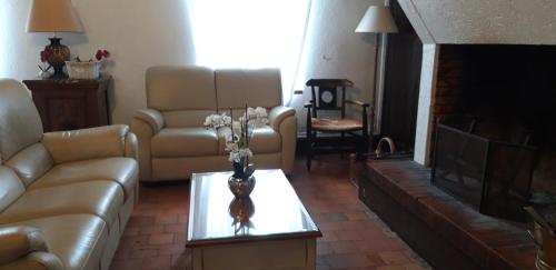 sala de estar con sofá y chimenea en Domaine de la dijonniere La berrichonne, en Clémont